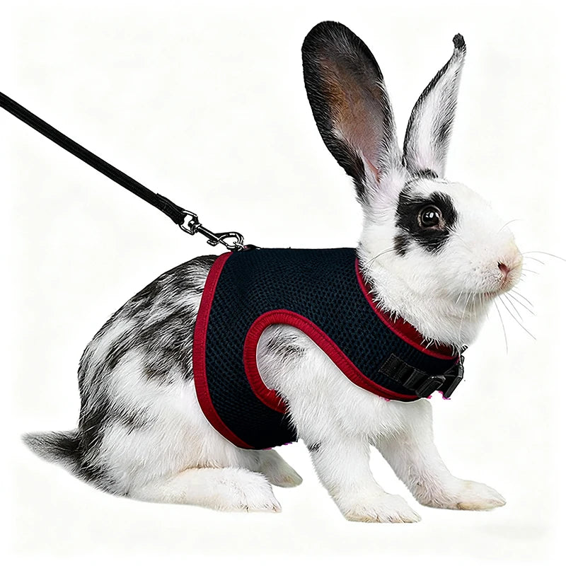 Summer Breathable Mesh Harness for Guinea Pigs, Rabbits, Ferrets