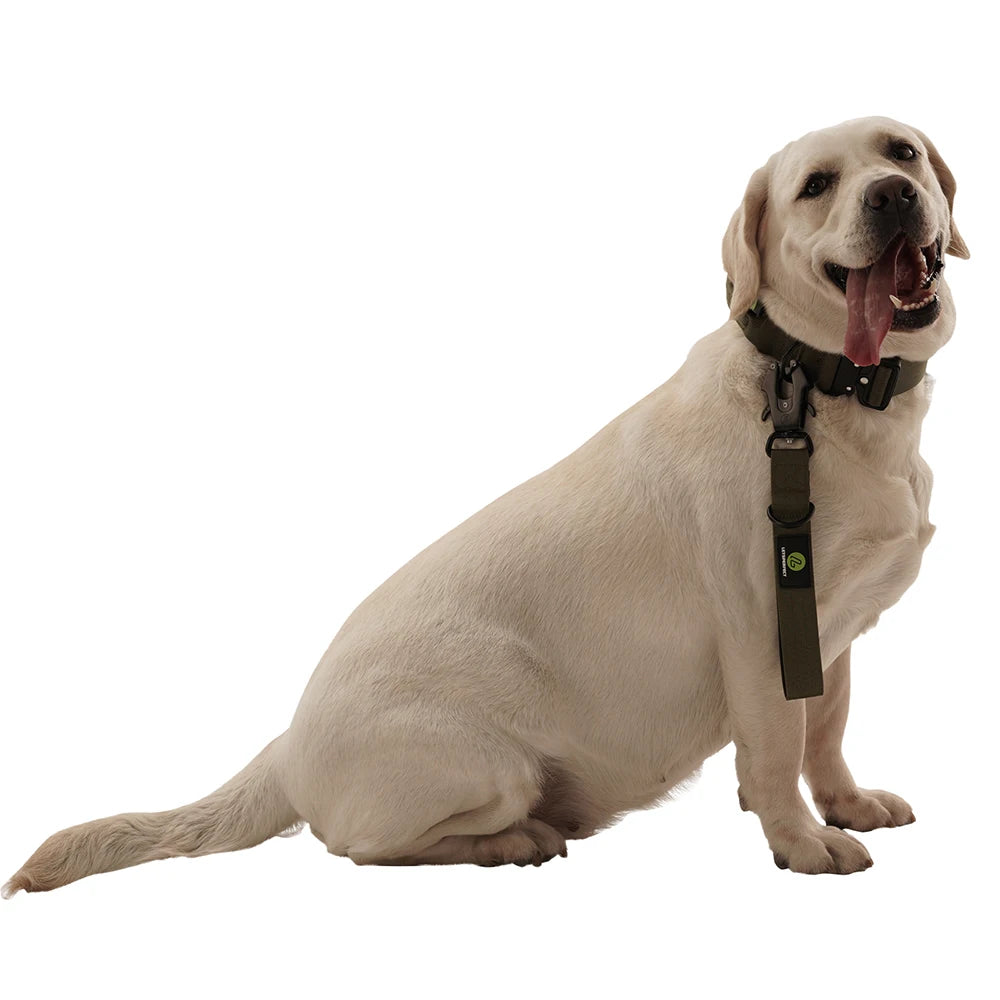 IPETPERIOD Short Dog Leash Padded Handle Heavy Duty Nylon Reflective