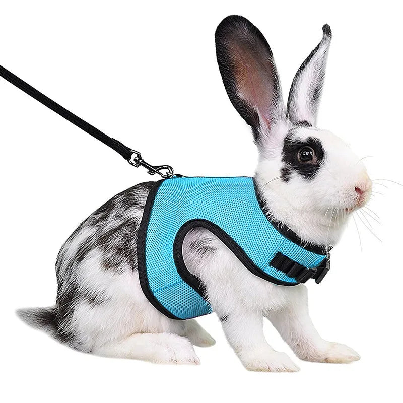 Summer Breathable Mesh Harness for Guinea Pigs, Rabbits, Ferrets
