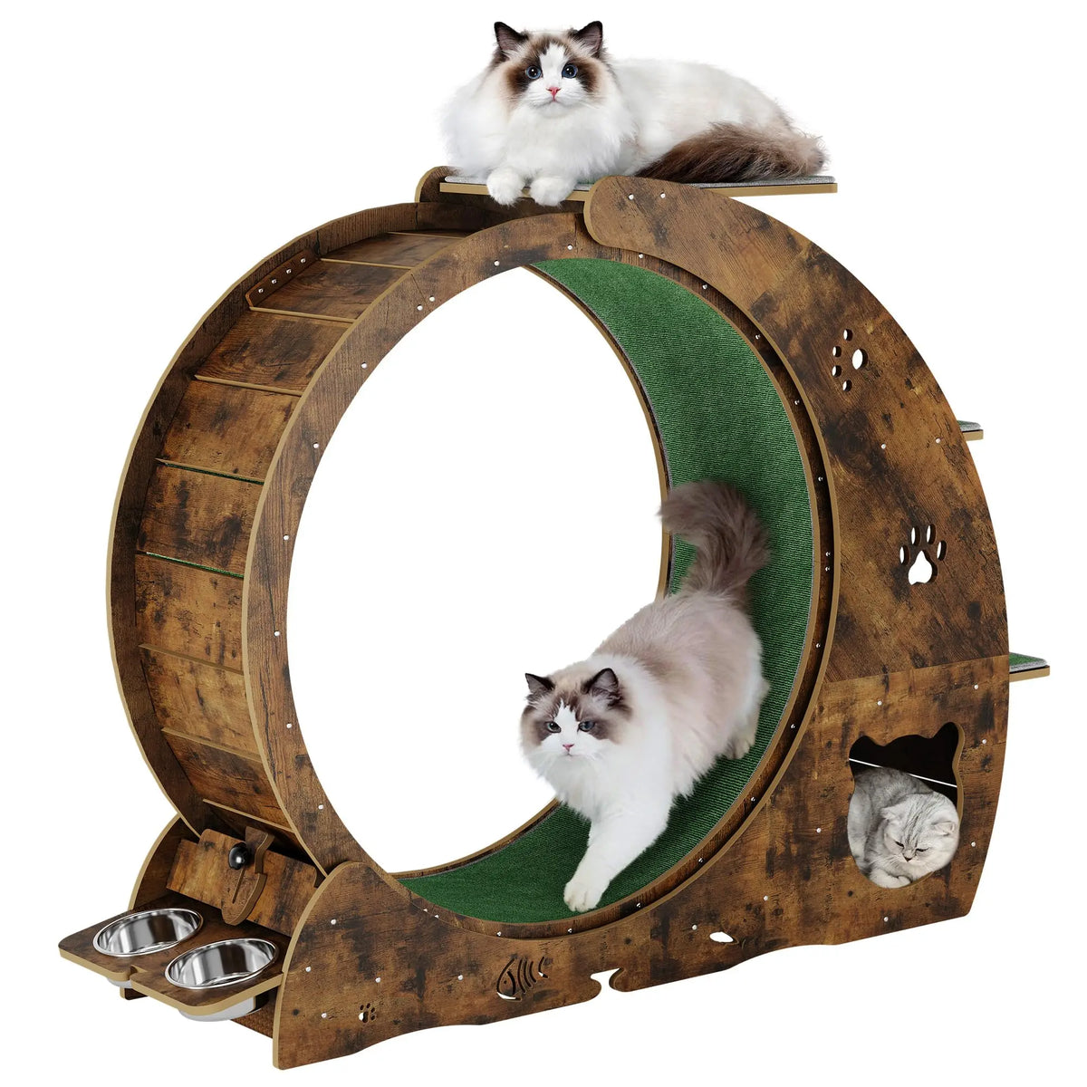 HiMiss 6-In-1 Large Quiet Cat Exercise Wheel With Bowls