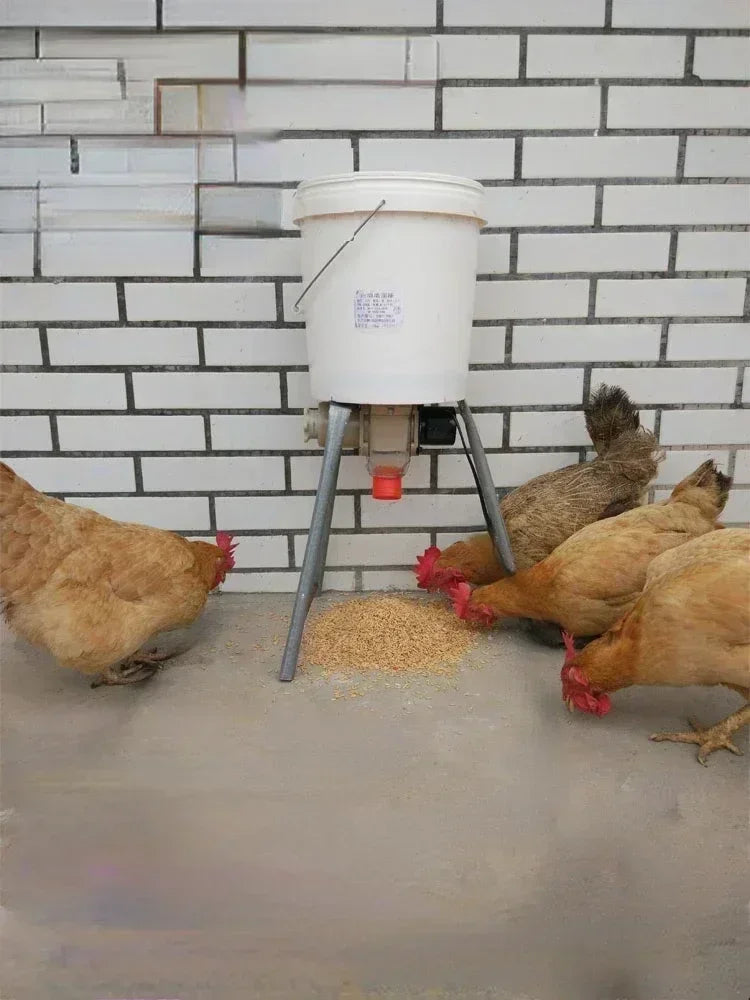 Automatic Chicken Feeder And Pigeon Trough With Timed Feeding