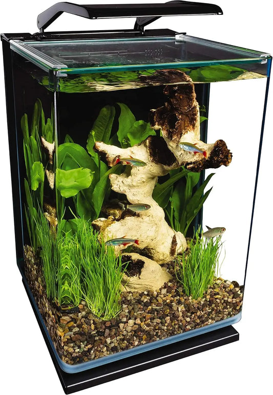 Glass LED Aquarium Kit With Hidden Filtration And Dual Lighting