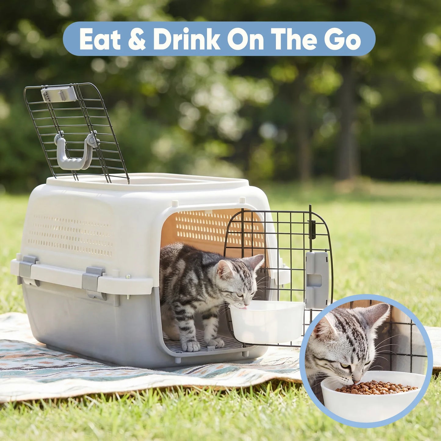 Pet Carrier With Enhanced Security Latches For Small Pets