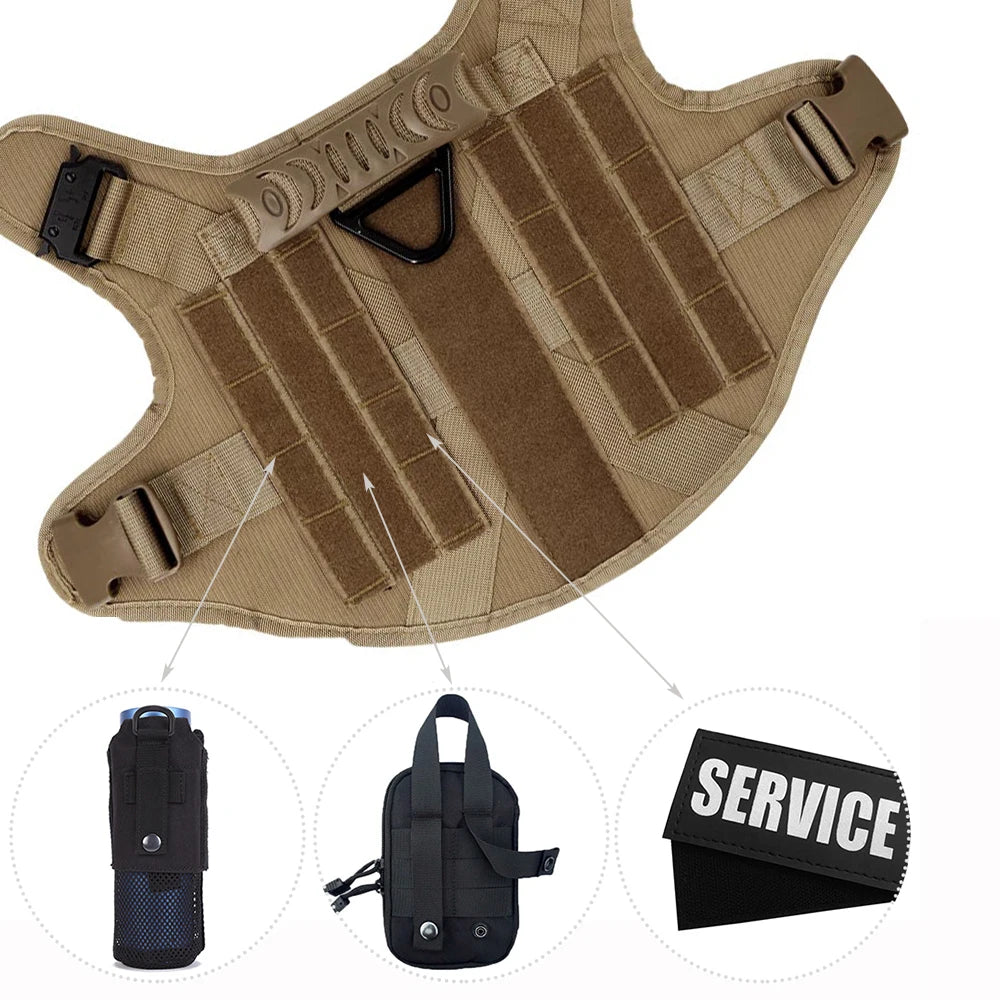Petravel CN Dog Harness And Leash Set For Training