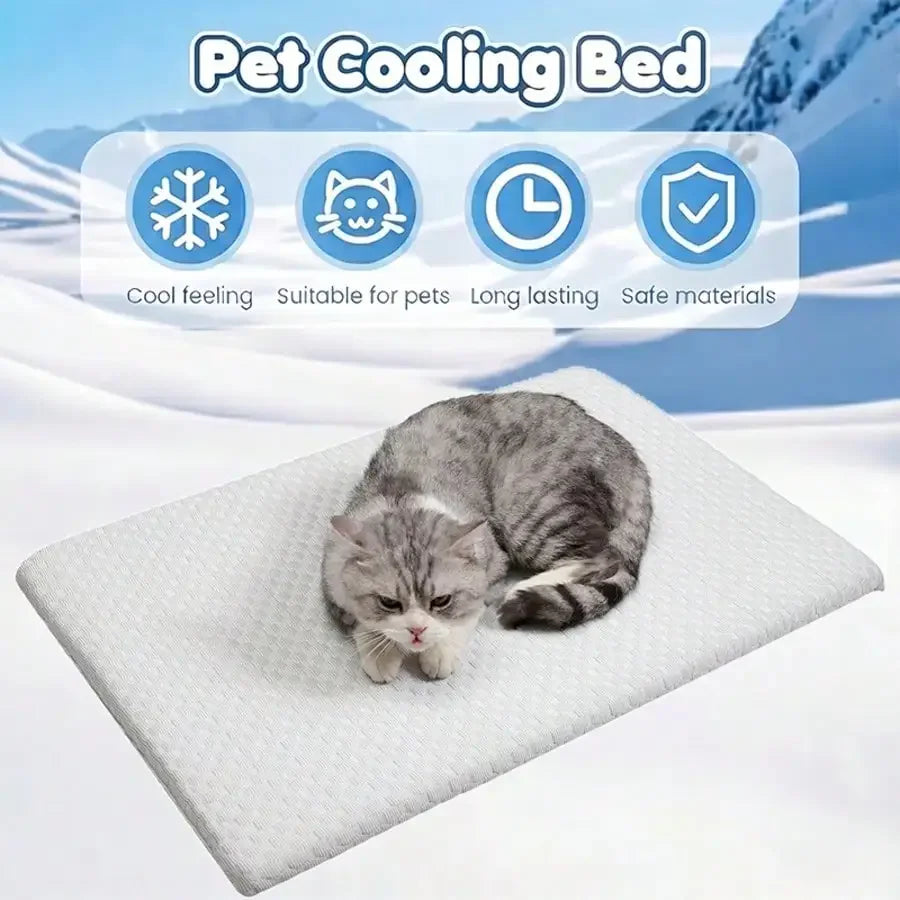 Sponge Cooling Cat Bed With Thick Padding For All Seasons