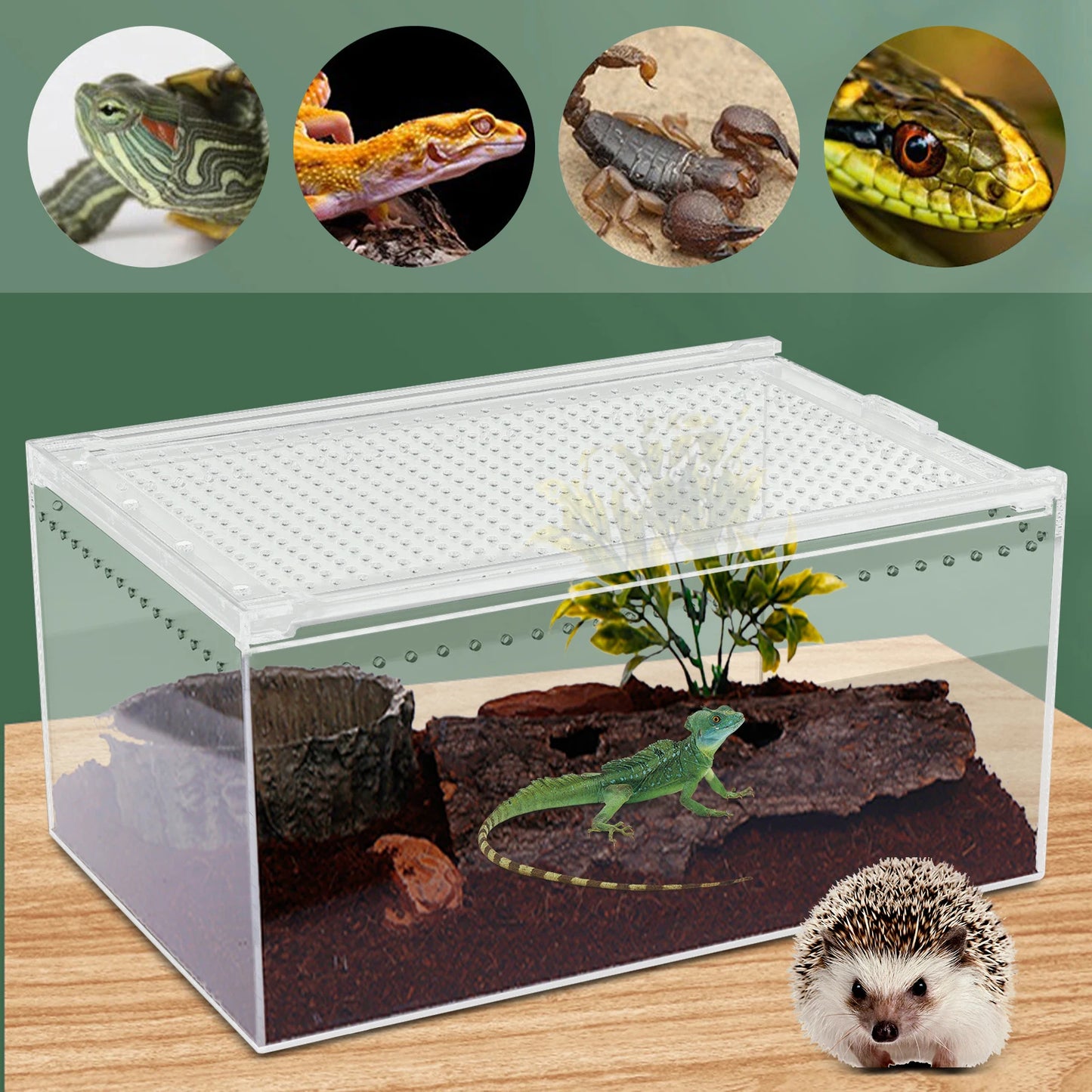 Bymaocar Acrylic Reptile Terrarium Stackable with Magnetic Lock Ventilation
