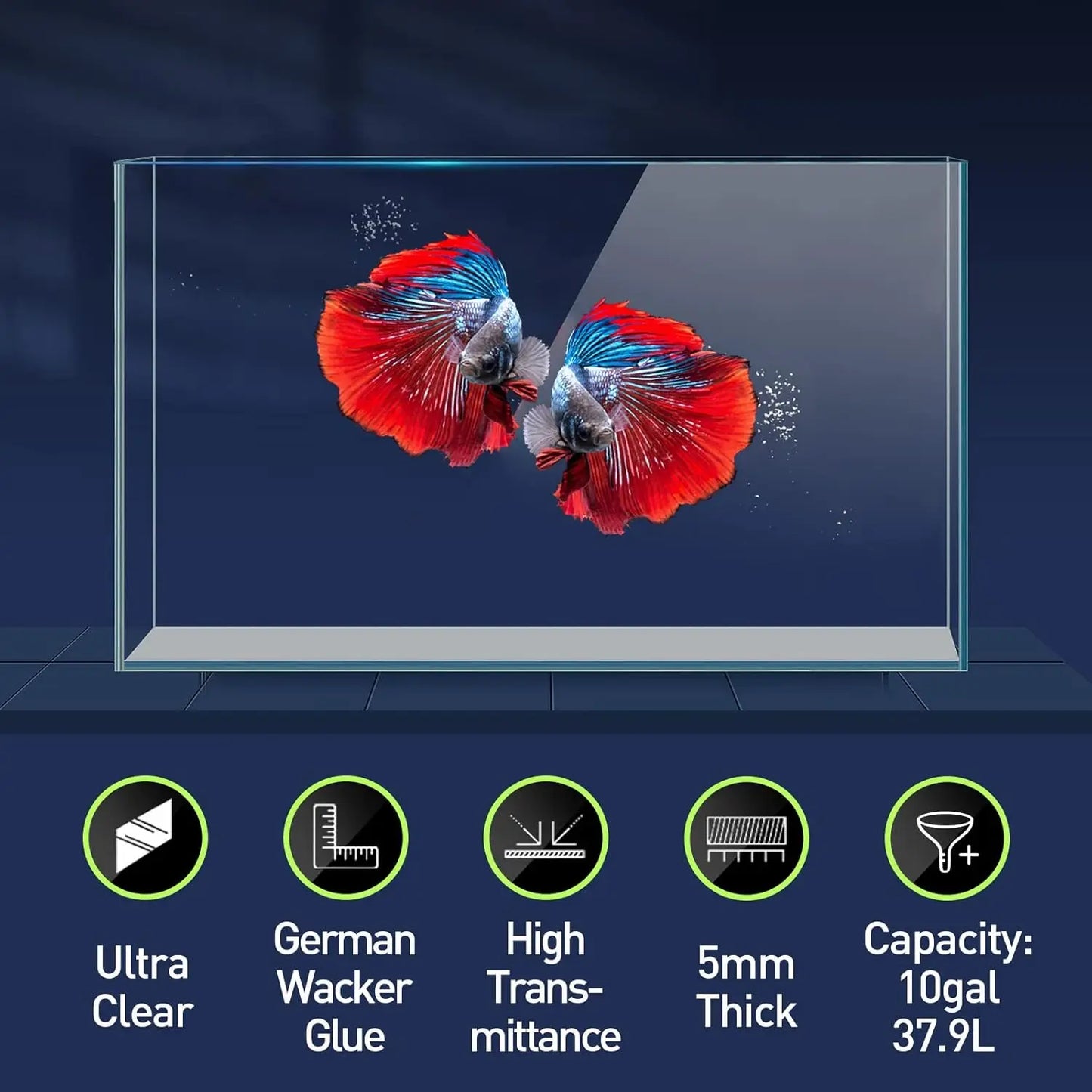 Rimless Glass Betta Aquarium With Cover Feeding Ring Cleaning Tools