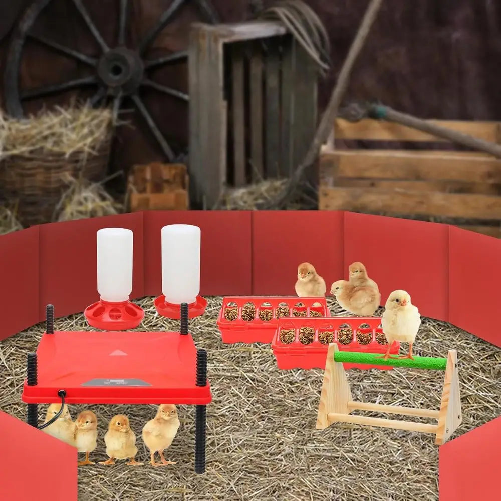 Chick Brooder Box Starter Kit With Heating Plate Perch