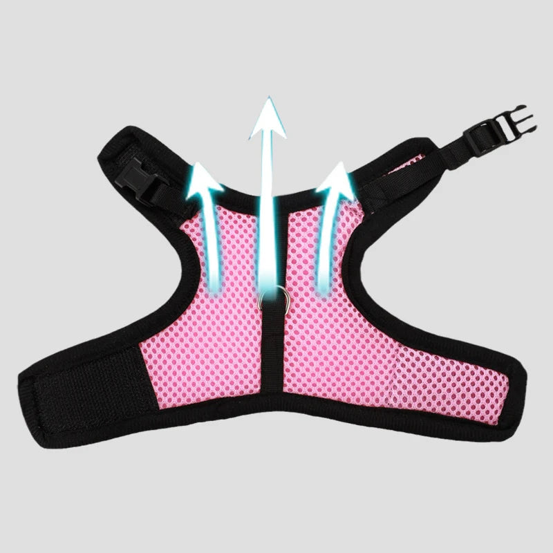 Summer Breathable Mesh Harness for Guinea Pigs, Rabbits, Ferrets