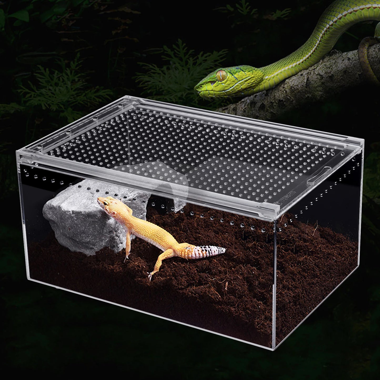 Bymaocar Acrylic Reptile Terrarium Stackable with Magnetic Lock Ventilation