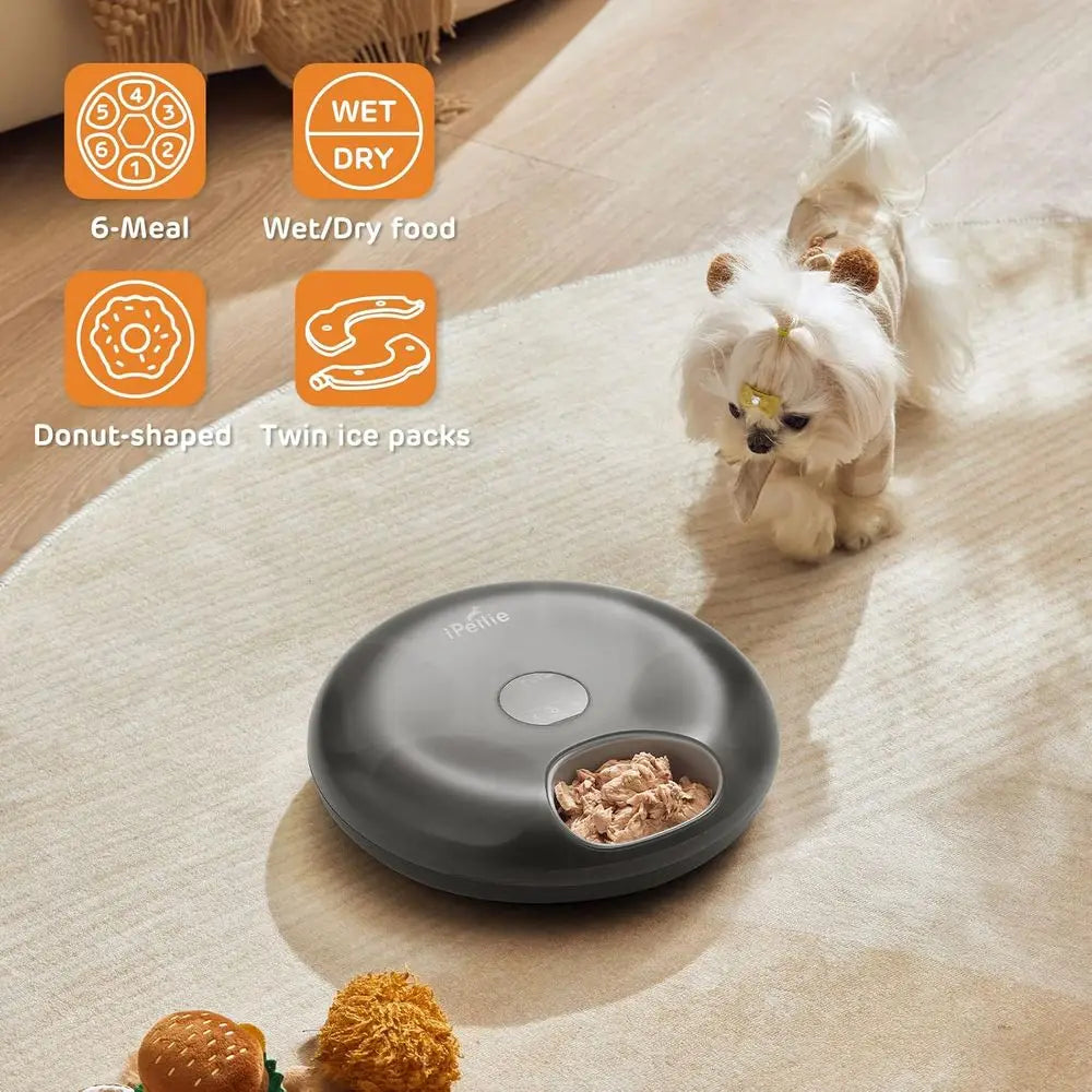 Automatic Cat Feeder 6-Meal Capacity With Ice Packs Rechargeable