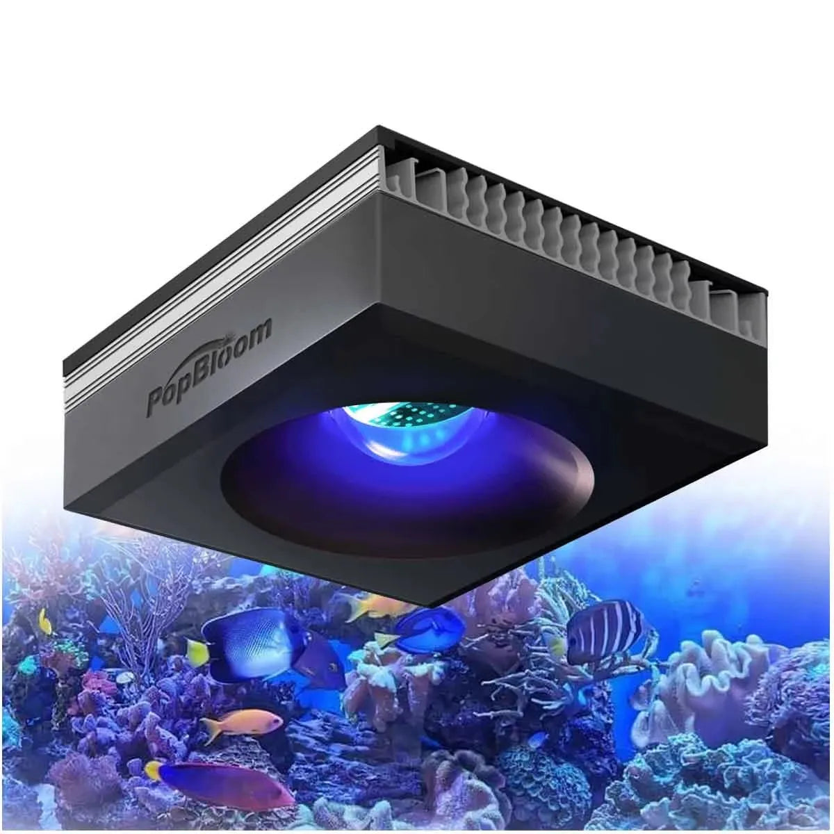 PopBloom RL90 WiFi Reef Aquarium LED Light Full Spectrum