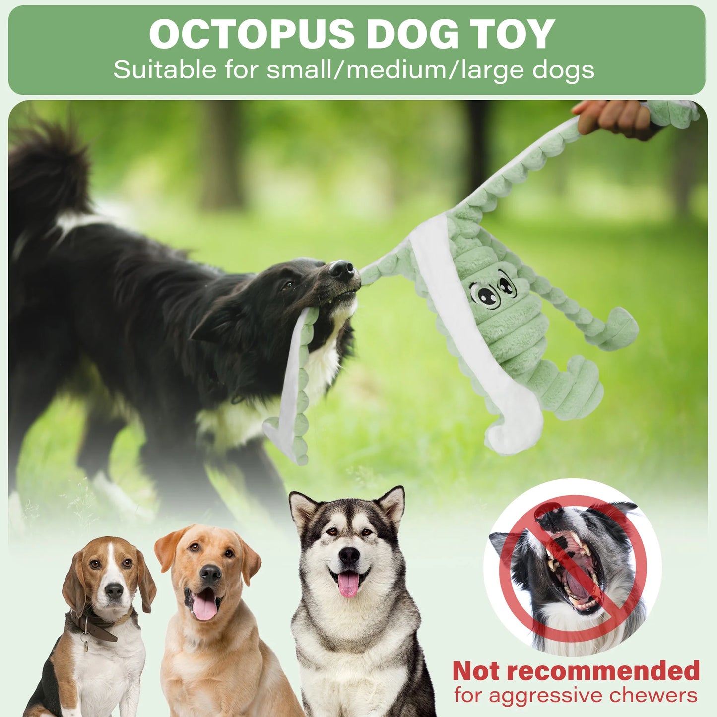 Squeaky Plush Dog Toy For Chewing And Interactive Play