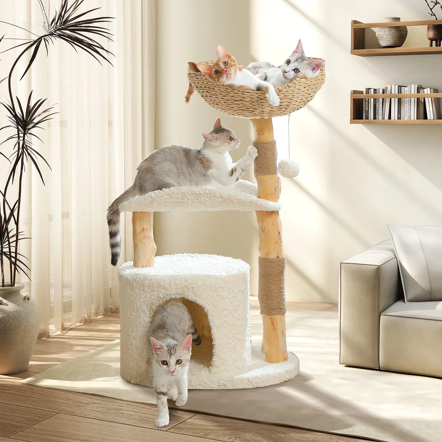 PEQULTI Solid Wood Cat Tree With Condo And Perches