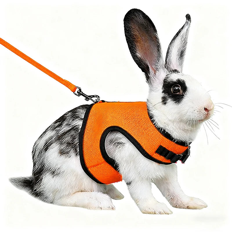 Summer Breathable Mesh Harness for Guinea Pigs, Rabbits, Ferrets
