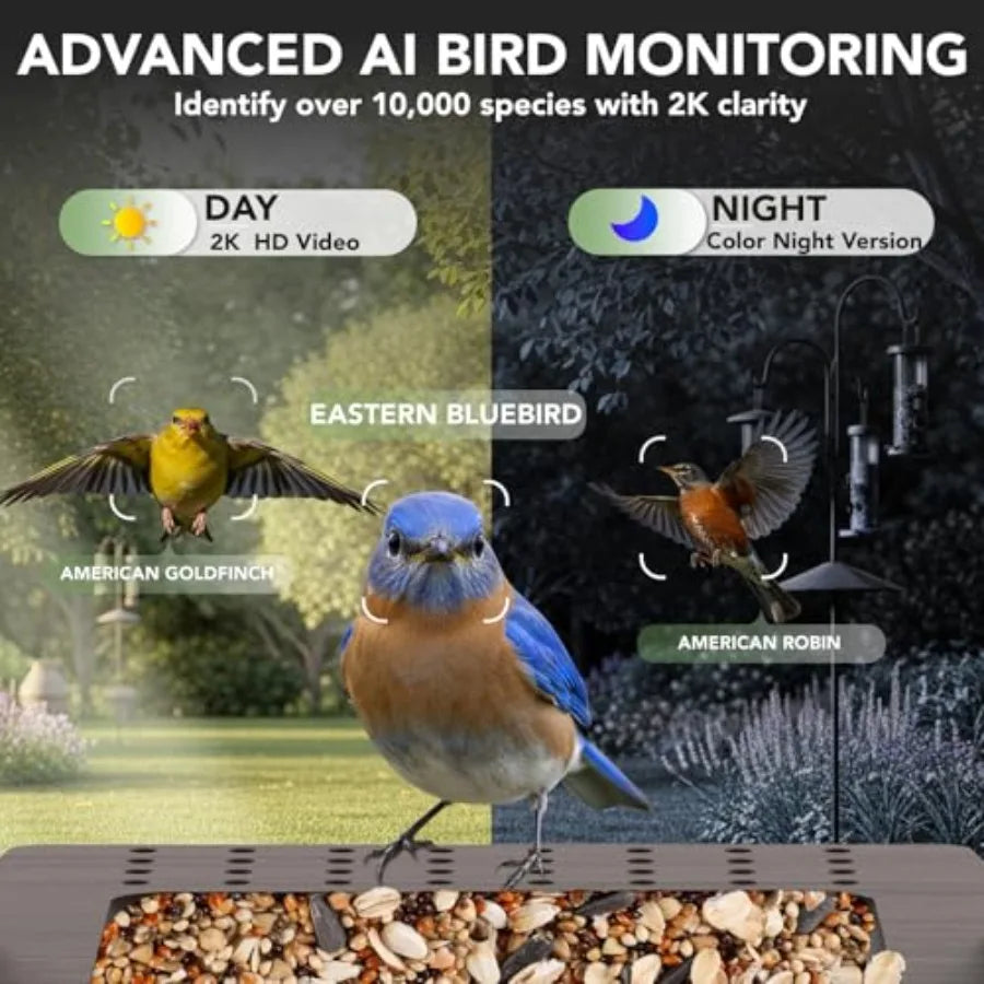 SHXI Solar Powered Smart Bird Feeder With Camera AI Identification