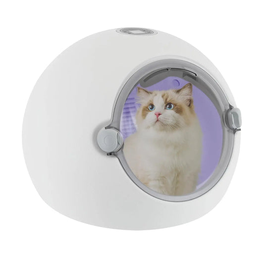 Automatic Pet Dryer Portable Cat Dryer Box With Temperature Control