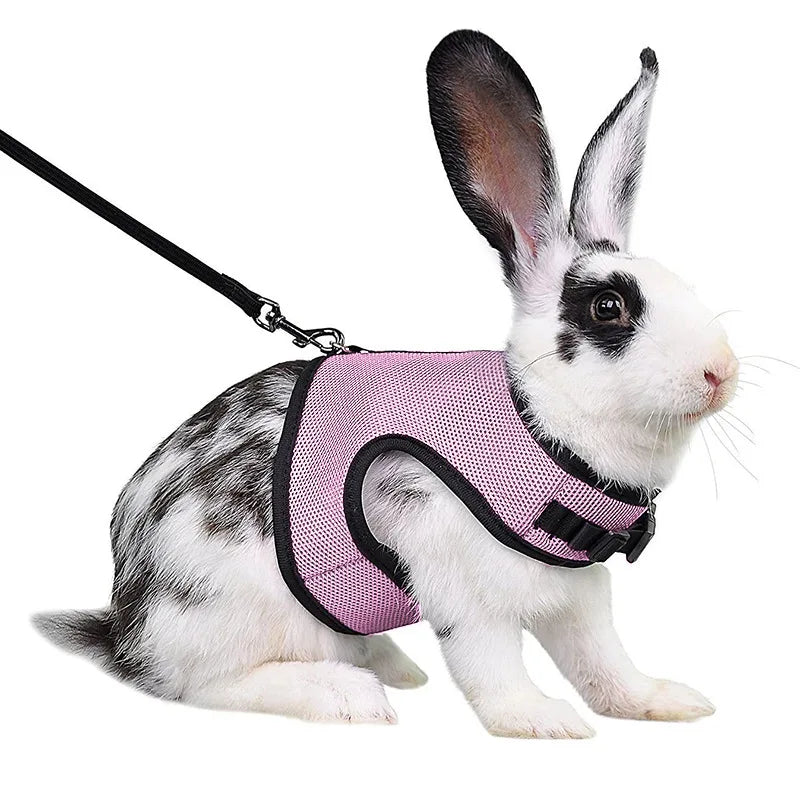 Summer Breathable Mesh Harness for Guinea Pigs, Rabbits, Ferrets