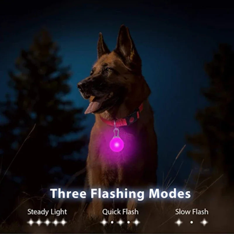 USB Charging Glowing Dog Collar With Pendant Detachable LED Light