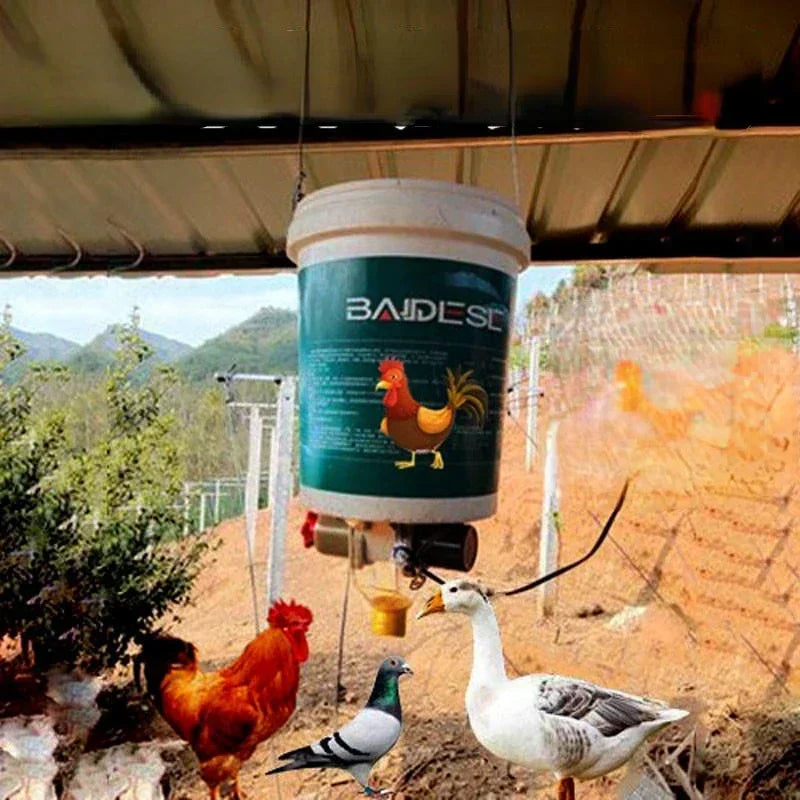 Automatic Chicken Feeder And Pigeon Trough With Timed Feeding