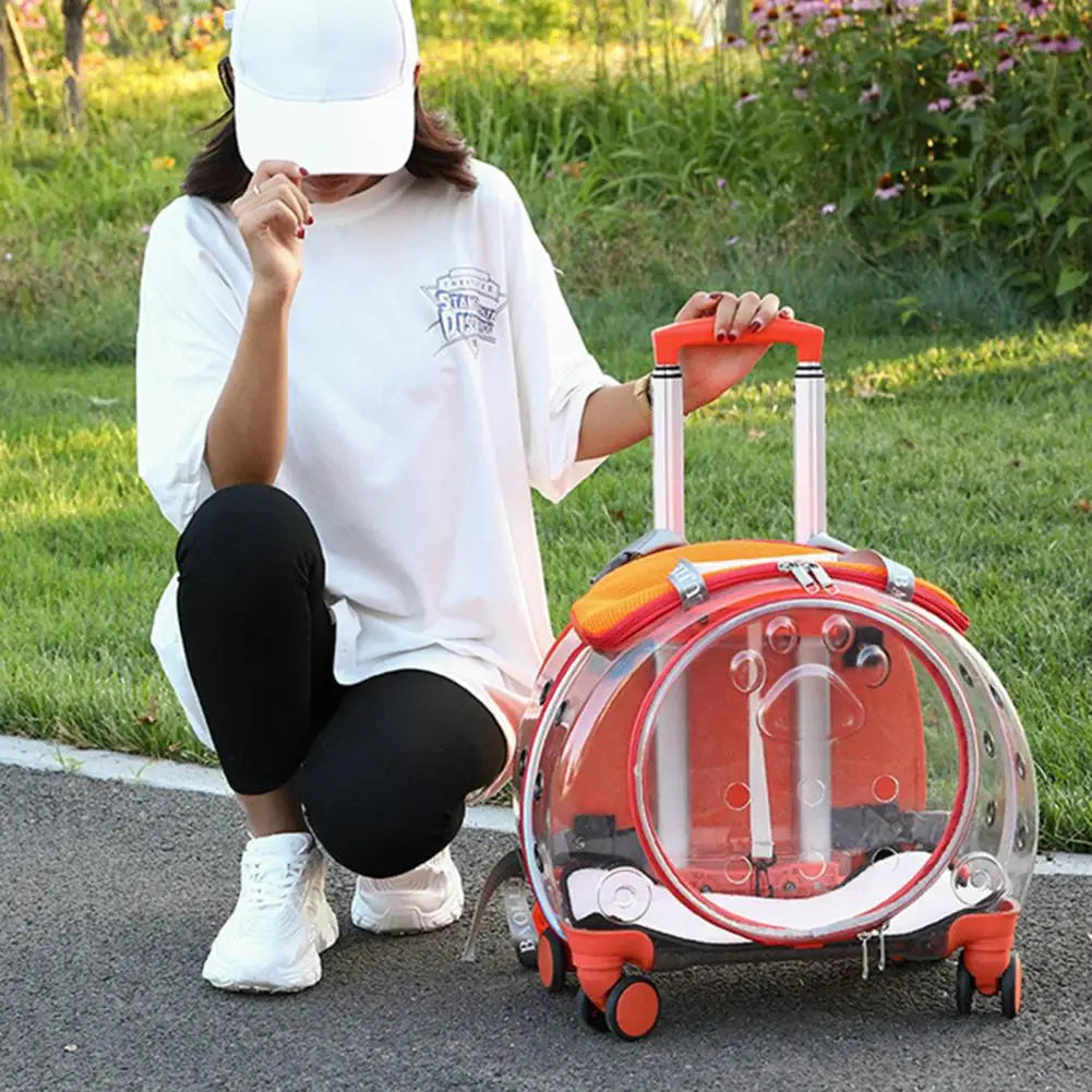 Pet Trolley Case With Ventilation Holes For Cats And Travel