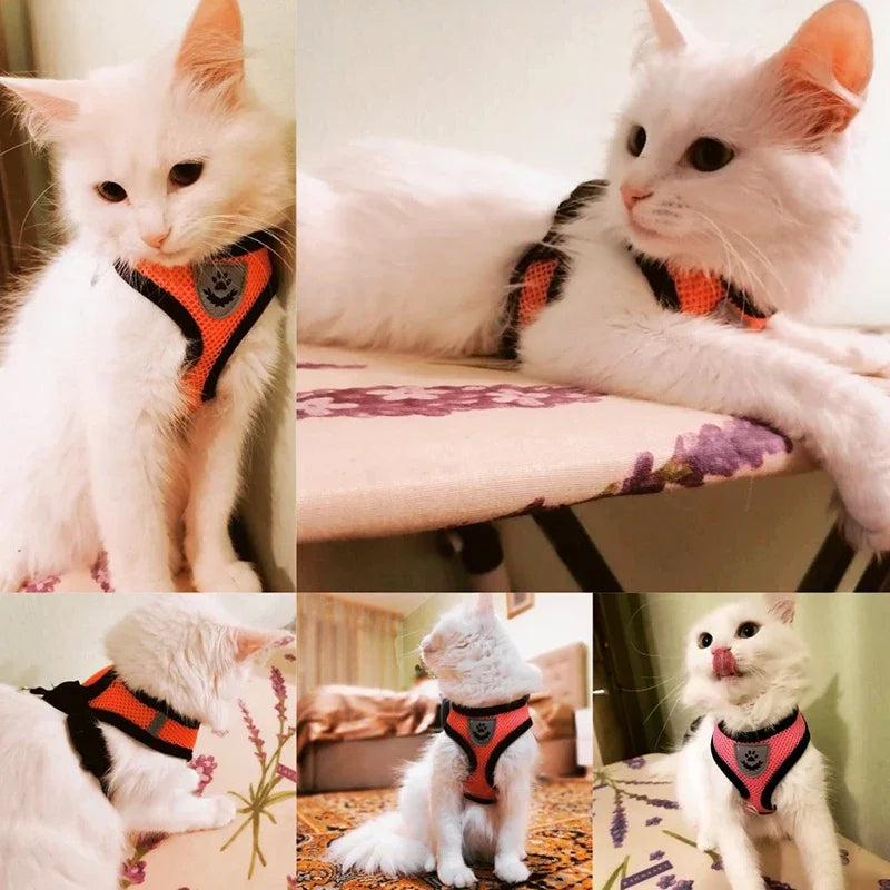 Mesh Vest Harness Adjustable Breathable Reflective Small Dog Cat Safe Polyester Summer Outdoor