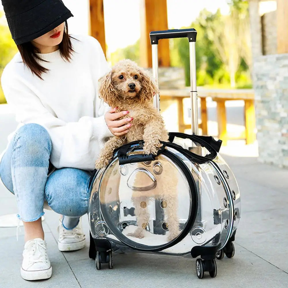 Pet Trolley Case With Ventilation Holes For Cats And Travel