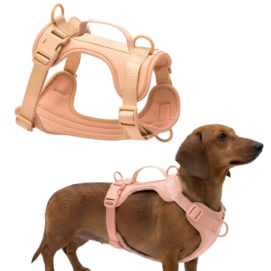 Adjustable Dog Harness with Lift Handle, Soft PVC Breathable Pet Vest S, Black