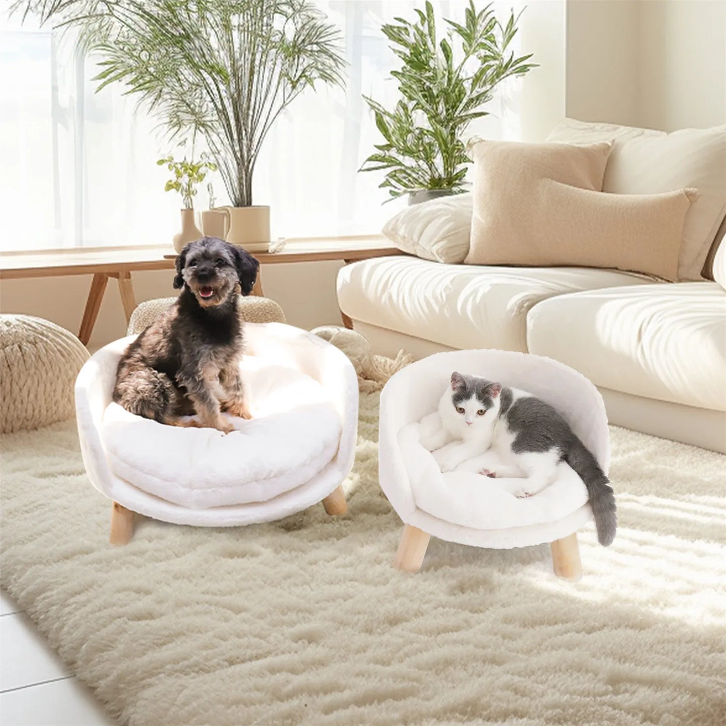 BINGOPAW Pet Sofa Bed Raised Cat Chair For Small Dogs