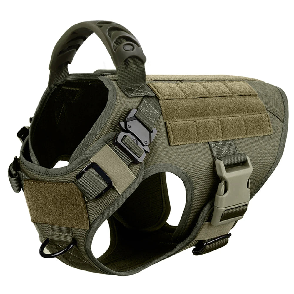 Petravel CN Dog Harness And Leash Set For Training