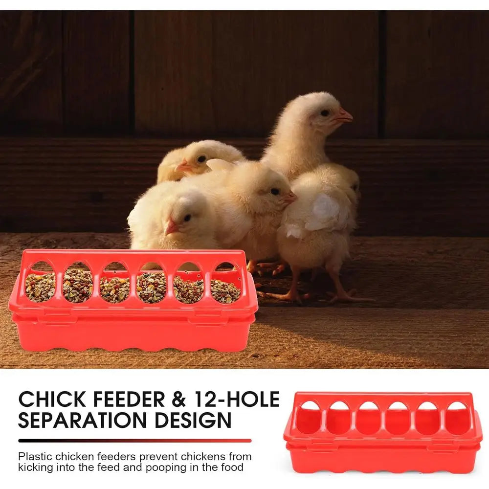 Chick Brooder Box Starter Kit With Heating Plate Perch